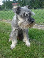 /album/fotky1/dsc02902-jpg/