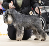 /album/fotogalerie-uvodni-stranka/ca54955e-ff98-4007-be7e-16d457a961bf-jpeg/